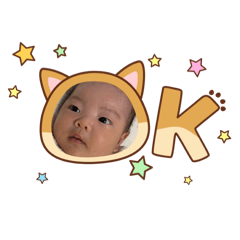 pimama_20260103123555