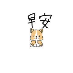 Little Cute dogs daily