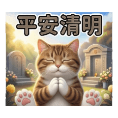 Meow's Daily: Qingming Festival Edition