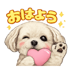 YuruStanpuKenkyujo_20260103145159