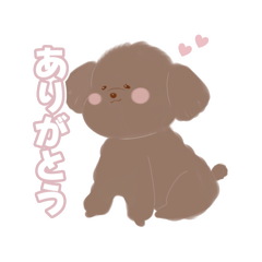 Roru_20260101230227