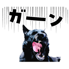 Atsuko_20260103154050