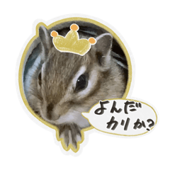 ten_san_20260103155755