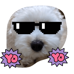 asuka_20260103165927