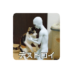 html_20260103225010