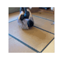 TAWASHI_20260103203917