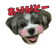 マルプーにこちゃん