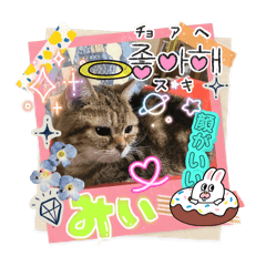 gonzaresu_20260103162515