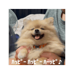 chiri_20260103190305