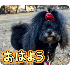 chirorin_20260103172127