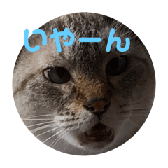 mizuki_20260103181050