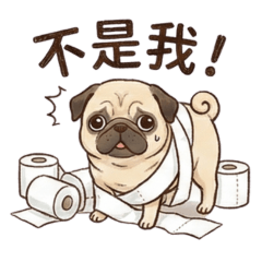 The Goofy Life of Pug Qiuqiu