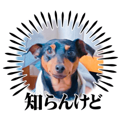 tomomi_20260103203150