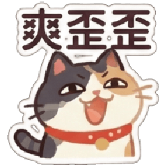 Funny WhiteTalk cat So satisfying