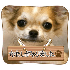 goQ_20260103221910