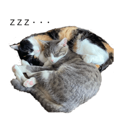 Mattari_20260103212049