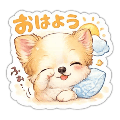 momocha_20260103220338