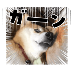 k_20260103205742