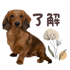 CHICO_20260103230553