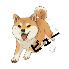 pazoo_20260103230614