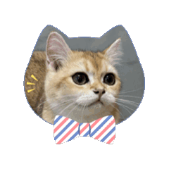 在忙，也要來一杯拿鐵與阿咪v.2