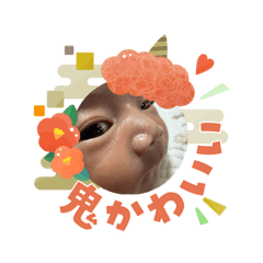 morio_20260103223245