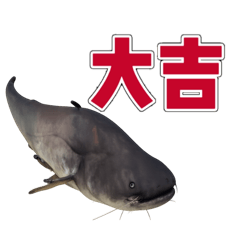 momo_20260104004257