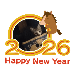 Fat Cat_20260104075516