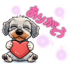 RiRiRi_20260104081706