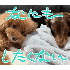 ketan_20260104014454