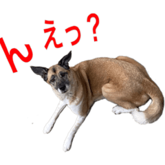 Vanilla_20260104105349