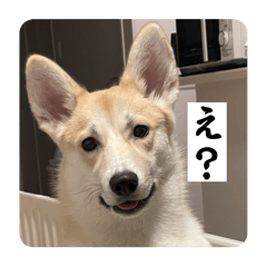 Yuka_20260104073349