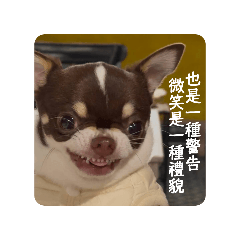 KuBi的酷貼圖