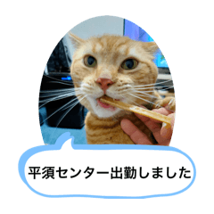 K_20260104102931