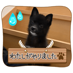 bare_20260104103914