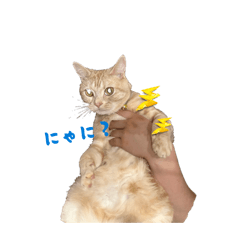 lamune_20260104113816