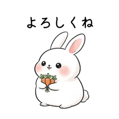 machomacho_20260104114820