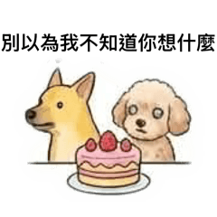老貴賓與米克斯
