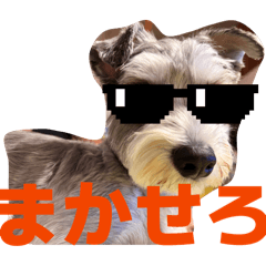 cherry_20260102204904