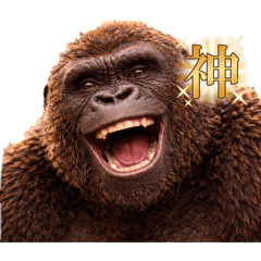 WASHIN SENNKOU_20260102212337