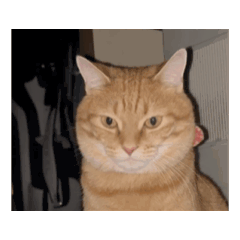 daichan_20260104181224