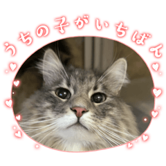 sorakichi_20260104150051