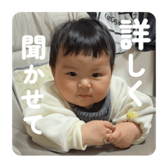 aragaki.com_20260104195439