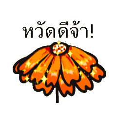 ดอกไม้ปุ๊กปิ๊ก