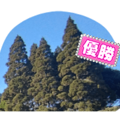 suzu_20260102122053