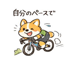 Positive Corgi Cycling Stickers