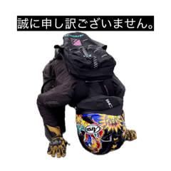 satwo_20260102154431