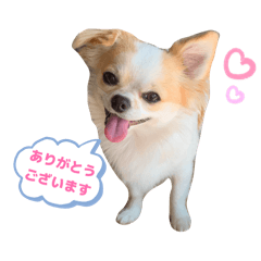 HAPPY YU_20260104180738