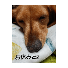 KOKO_20260102175332