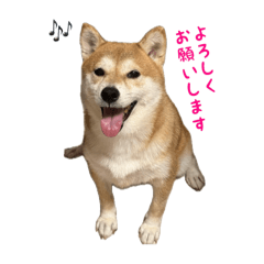 mugi_20260102205449